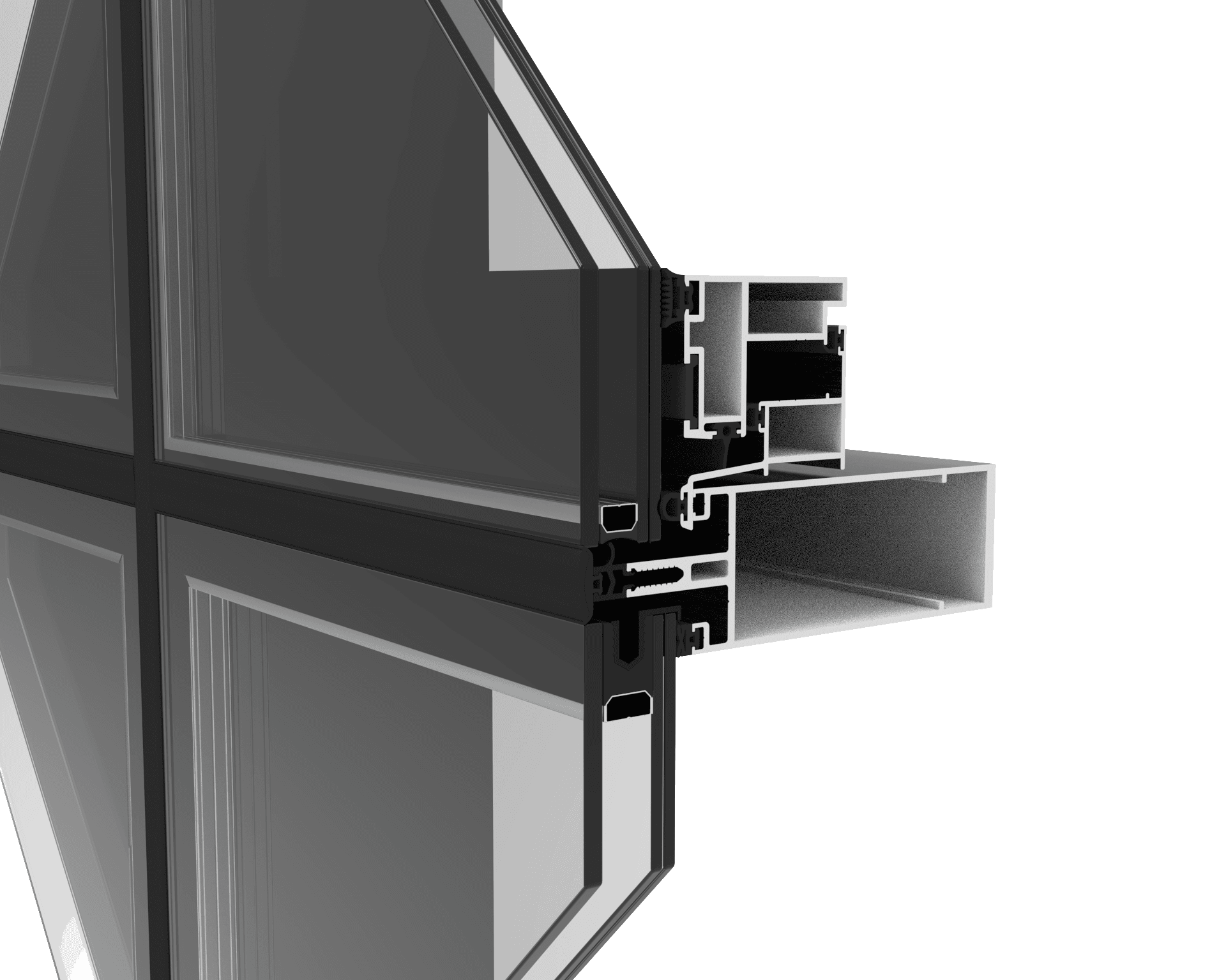 ANICOLOR-FX Intercalar-Pormenor-2025.png